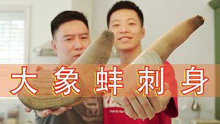 兄弟買了兩個(gè)象拔蚌，竟然這么鮮活還會噴水？