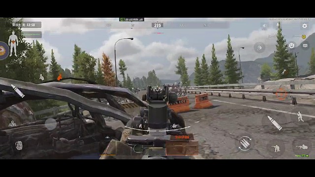 观景台偶遇三只憨憨