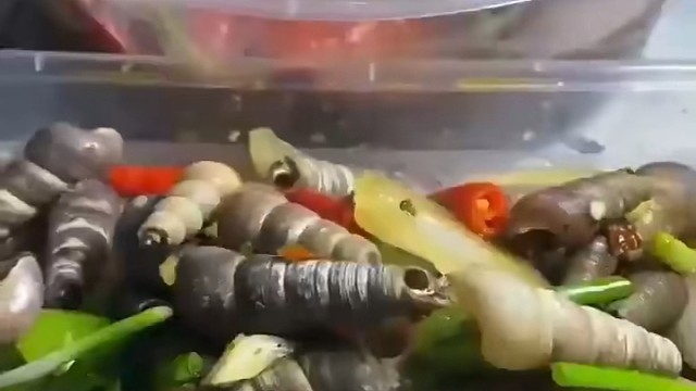 开心，直接打包送过来。