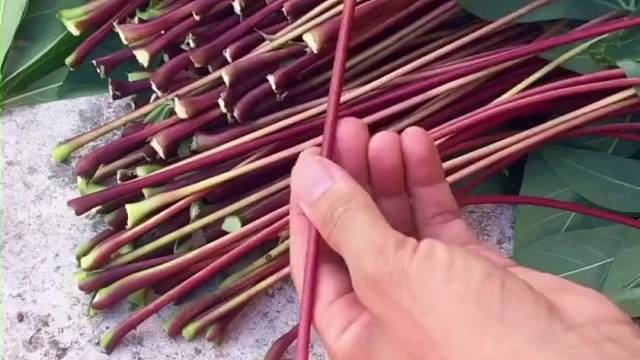 你们小时候有玩过这个吗？