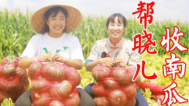 春姐帮摘瓜，晓儿做瓜和面，杂面劲道汤金黄，众人边吃边笑太热闹