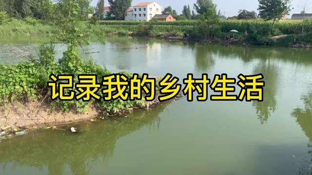 朴实无华的晚饭