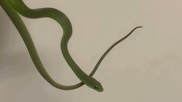 晚风吹动着竹林，月光拉长了身影，我们邂逅每一秒..