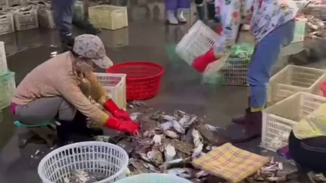 现在就是吃螃蟹的季节！想吃的可以联系我。