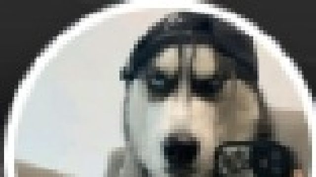 教科书级贴人实战