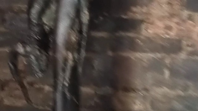 有谁知道这是啥