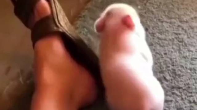 配上这个BGM刚刚好