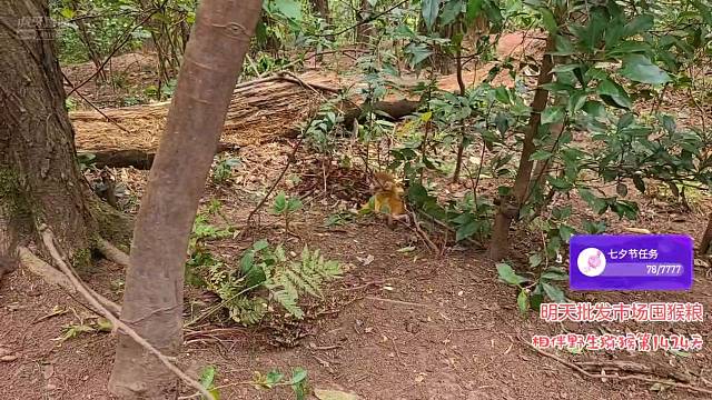 魔生和妈妈被狗子吓坏了