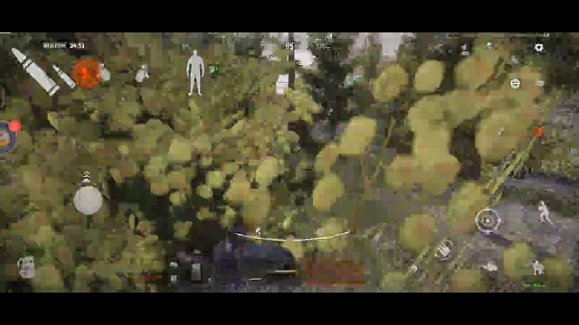 早起的鸟儿有虫吃