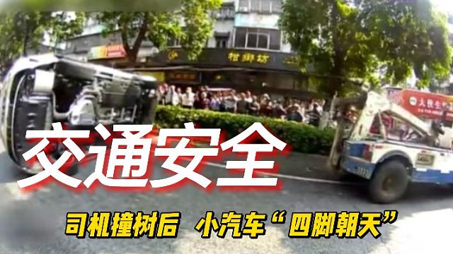 这下成朝天龟了