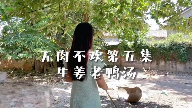 借鸭不还的一天