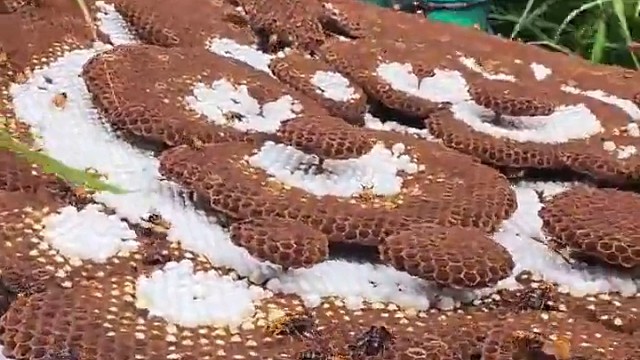 你们真是没爱心，直接把人家家族都给端了