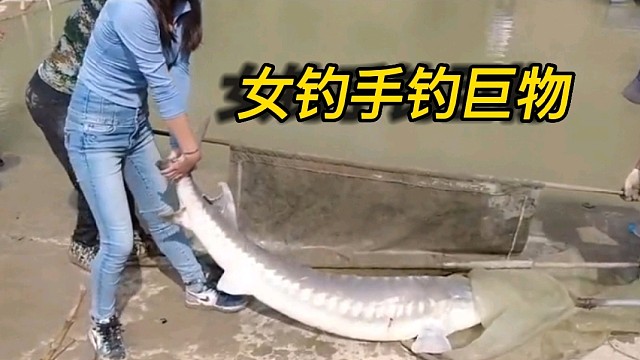 女钓手钓巨物