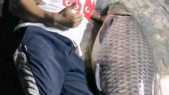 大哥出马必须出巨货！