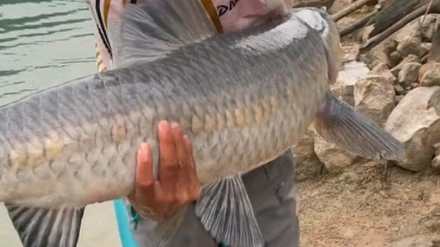 钓巨物比的就是耐心