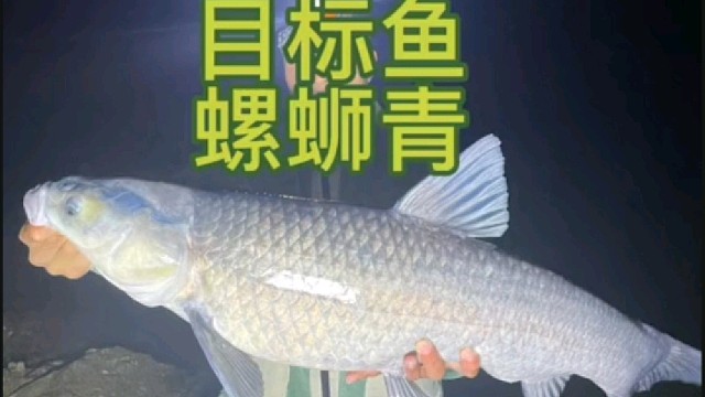 铜山源水库挑战螺蛳青