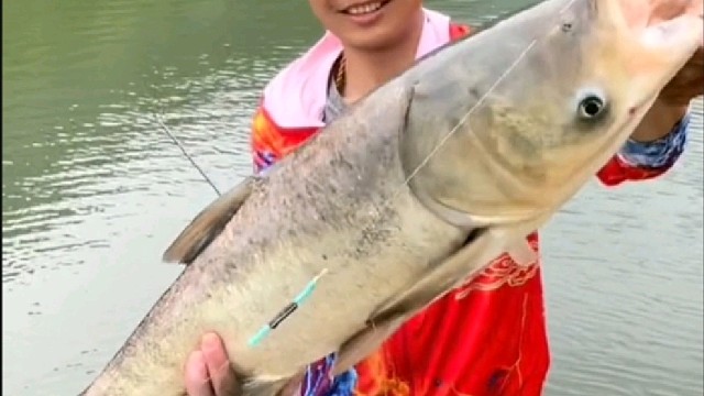 这个大头鱼够大哦