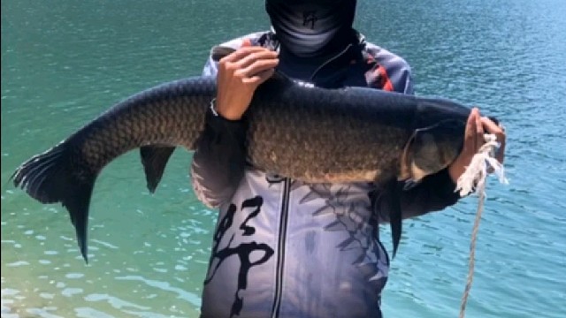 这鱼有点费酒啊！！！