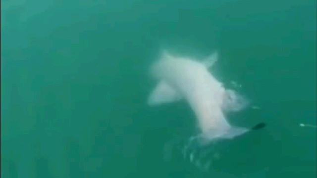 天快黑了，终于钓上来了……