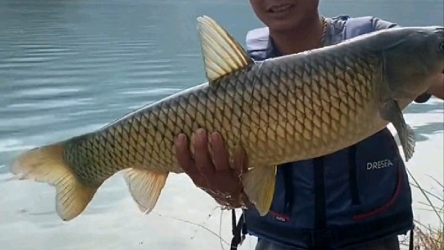 为了钓你，我都爬山了……