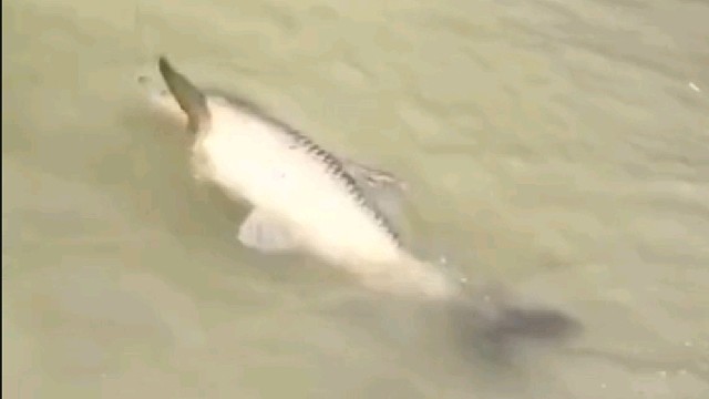 又是收获的一天！