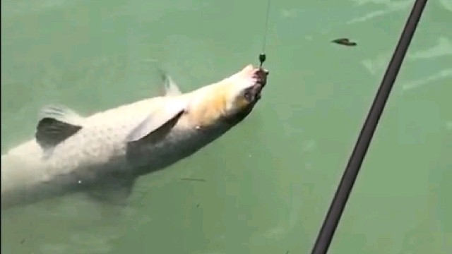 嘿嘿！小样……