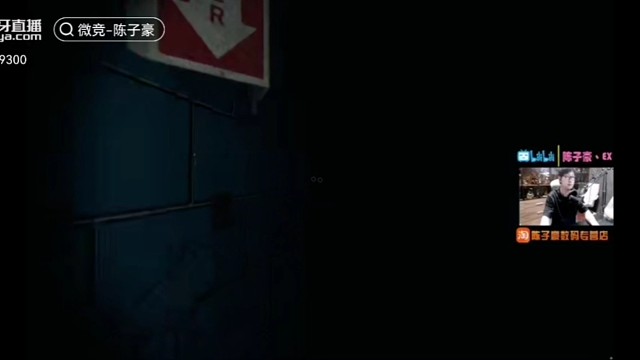 《关于嘎嘎V上陈子豪当这件事》