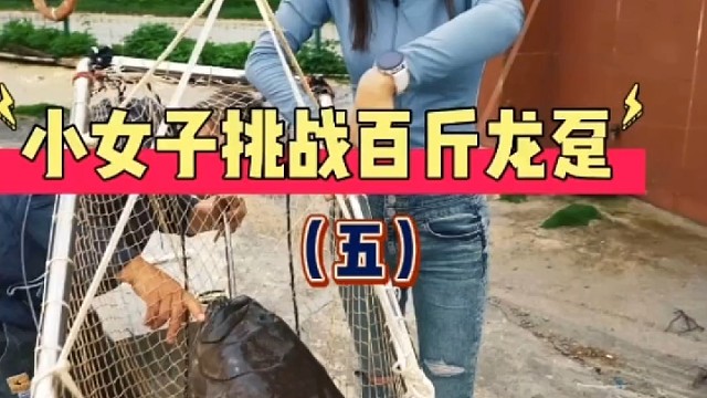 钓鱼真是一项减肥强身健体的运动啊~我的爆发力我自己都害怕啦