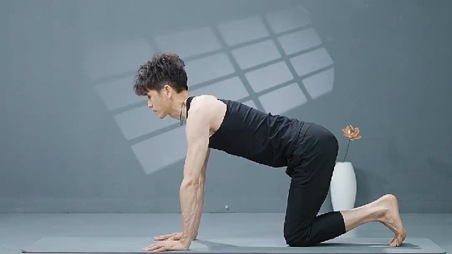 初学者必学的瑜伽体式