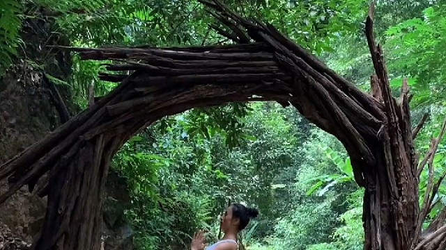 西双版纳原始森林