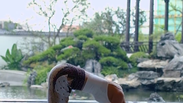 瑜伽哪有什么轰轰烈烈，唯有日复一日的坚持，你就成功了