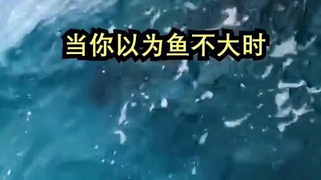 当你认为鱼不大的时候处处给你惊喜