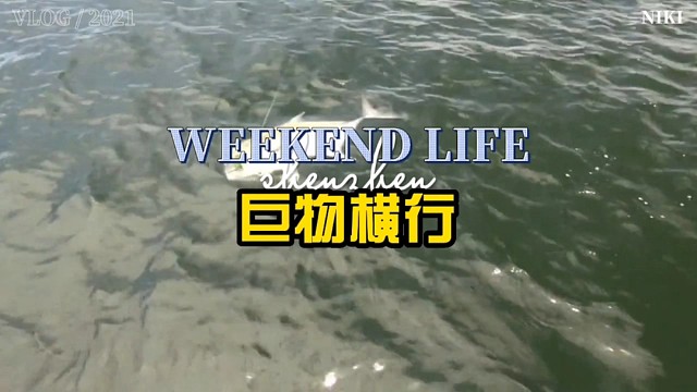 有多少人没听过这声音了