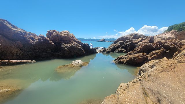 大水坑果然有大货，成精的巨型八爪怪在坑中称王称霸，实力碾压