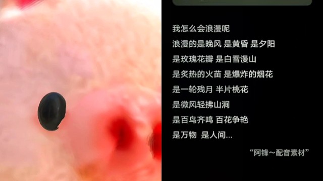 我怎么会浪漫呢