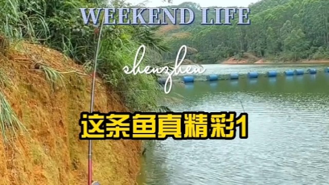 这条鱼也太疯狂了1