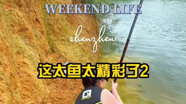这条鱼也太疯狂了2