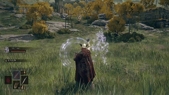 女武神环游交界地