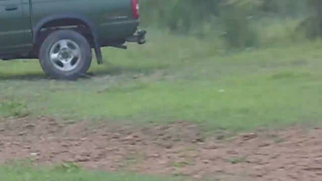 多变体汽车知识科普：皮卡加装后箱盖都有什么好处？你的皮卡改装了吗