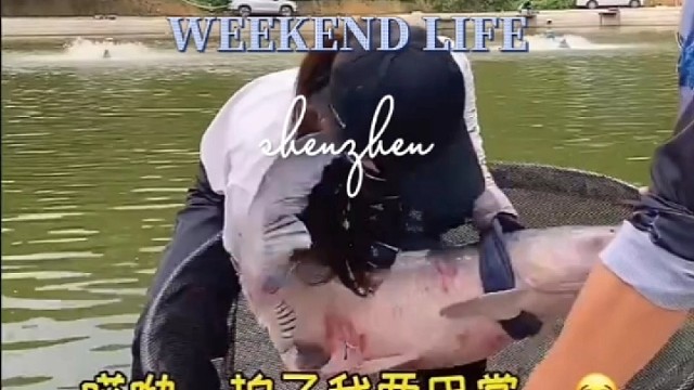 美女到大鱼最后被鱼拍了两巴掌你遇到过吗