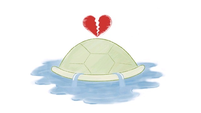 来看看我的精彩直播回放吧