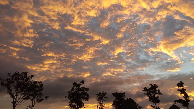 S20038三盟二宣27分钟拿下王城