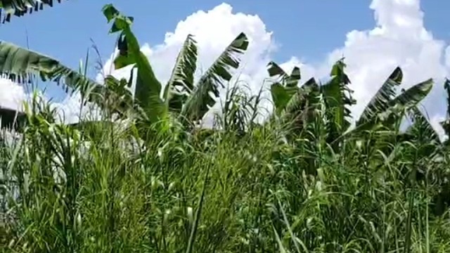 从小的村长大的我所以非常喜欢三山水水蓝天白云