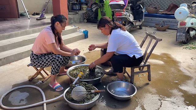 正是摘芝麻叶的季节，媳妇摘些回家做好吃的，洗净凉拌下面条，香