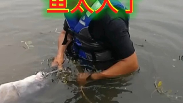 巨青出水