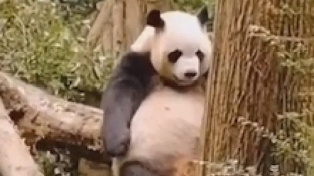 忍一时越想越亏，退一步越想越气！