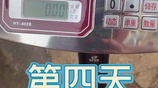 当前夫面秀恩爱，找打