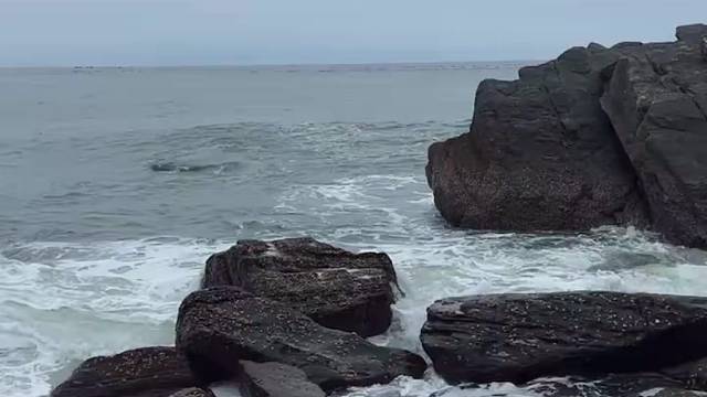 大海