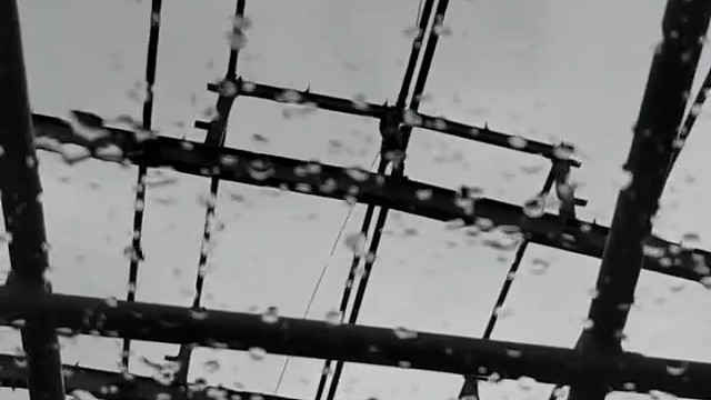 20出头的自己已过上了自己的生活