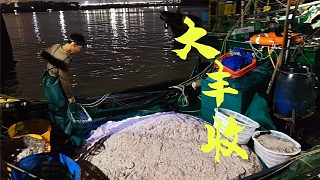 广东渔船出海捕捞虾皮，不料遇到虾群捞起网2000斤，这趟发财了